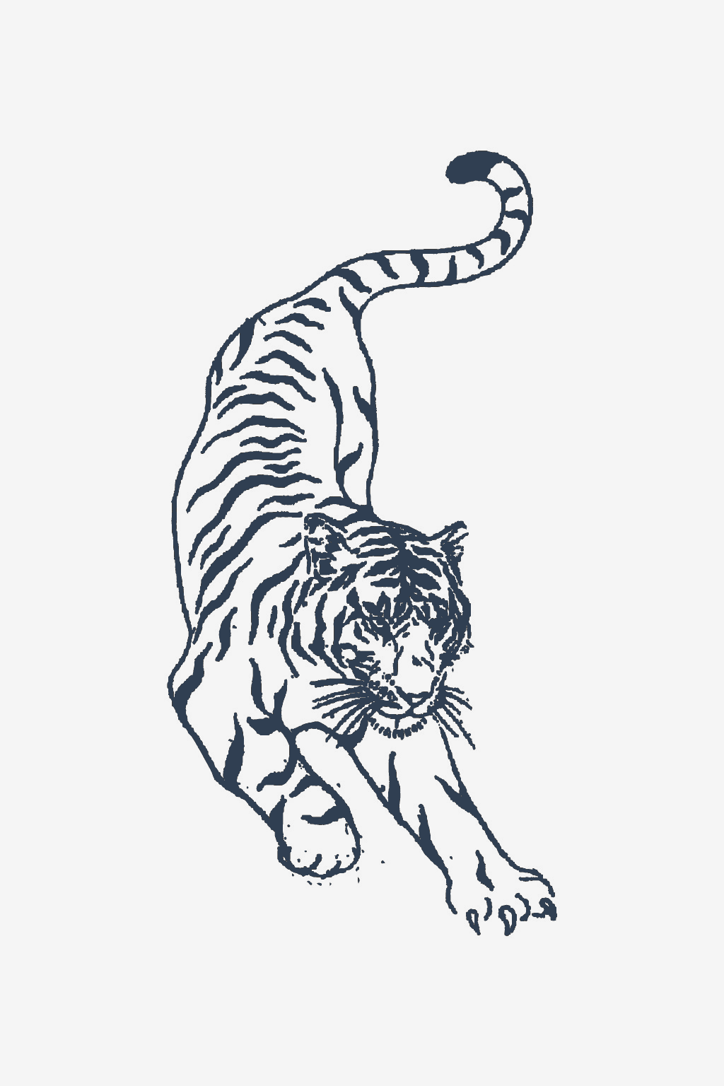 Δύναμη αιλουροειδών