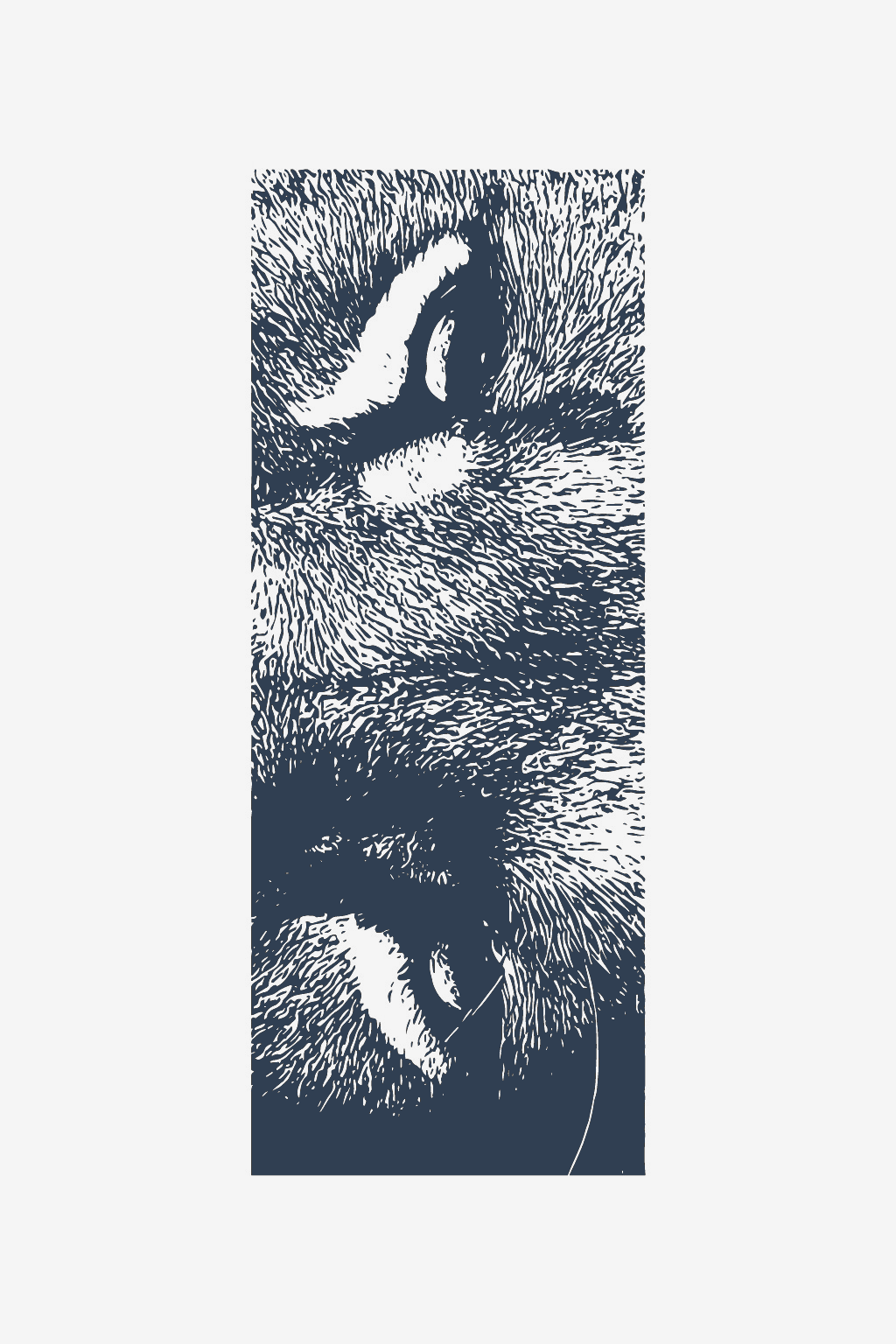 Άγρια ματιά