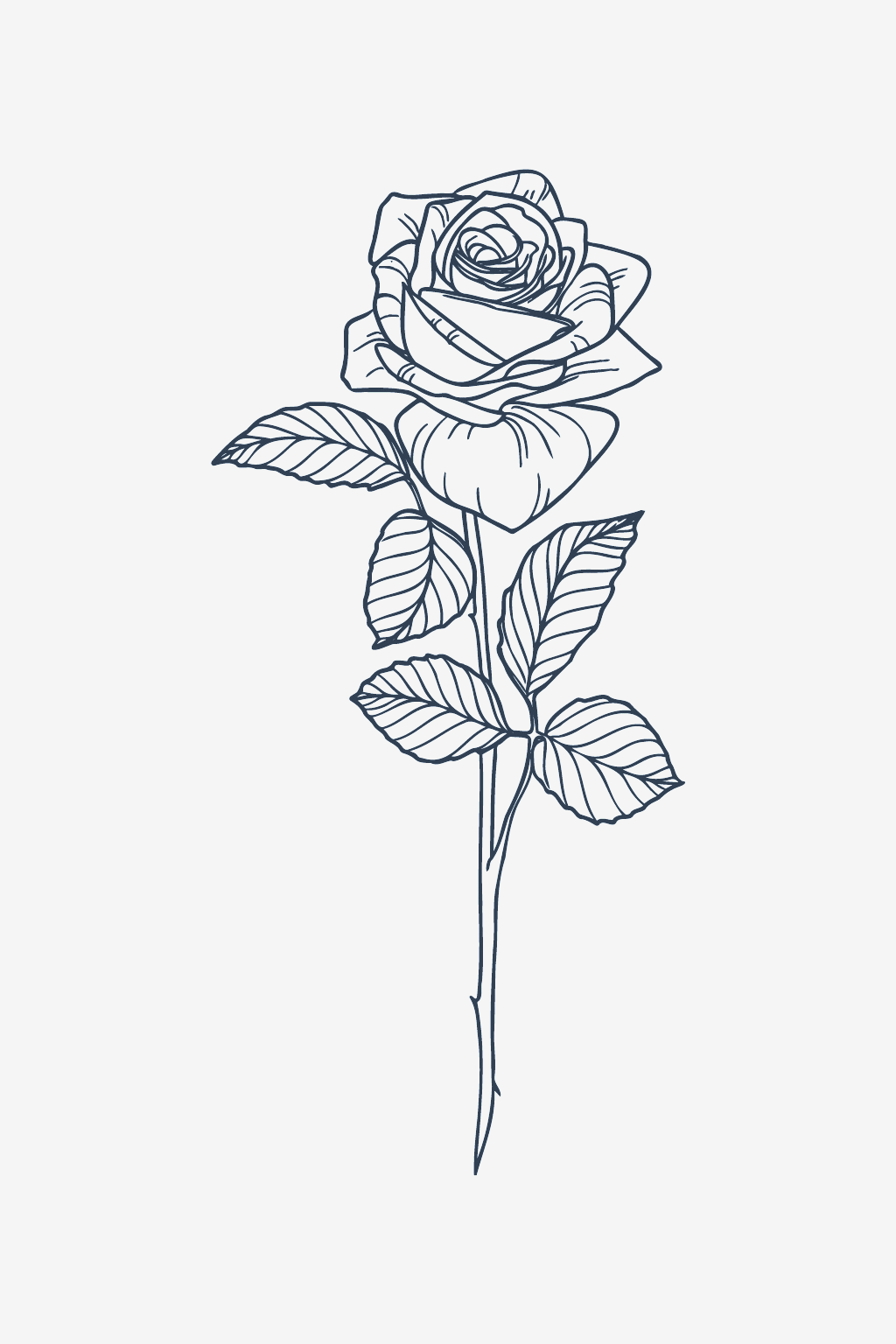 Κλασικό τριαντάφυλλο