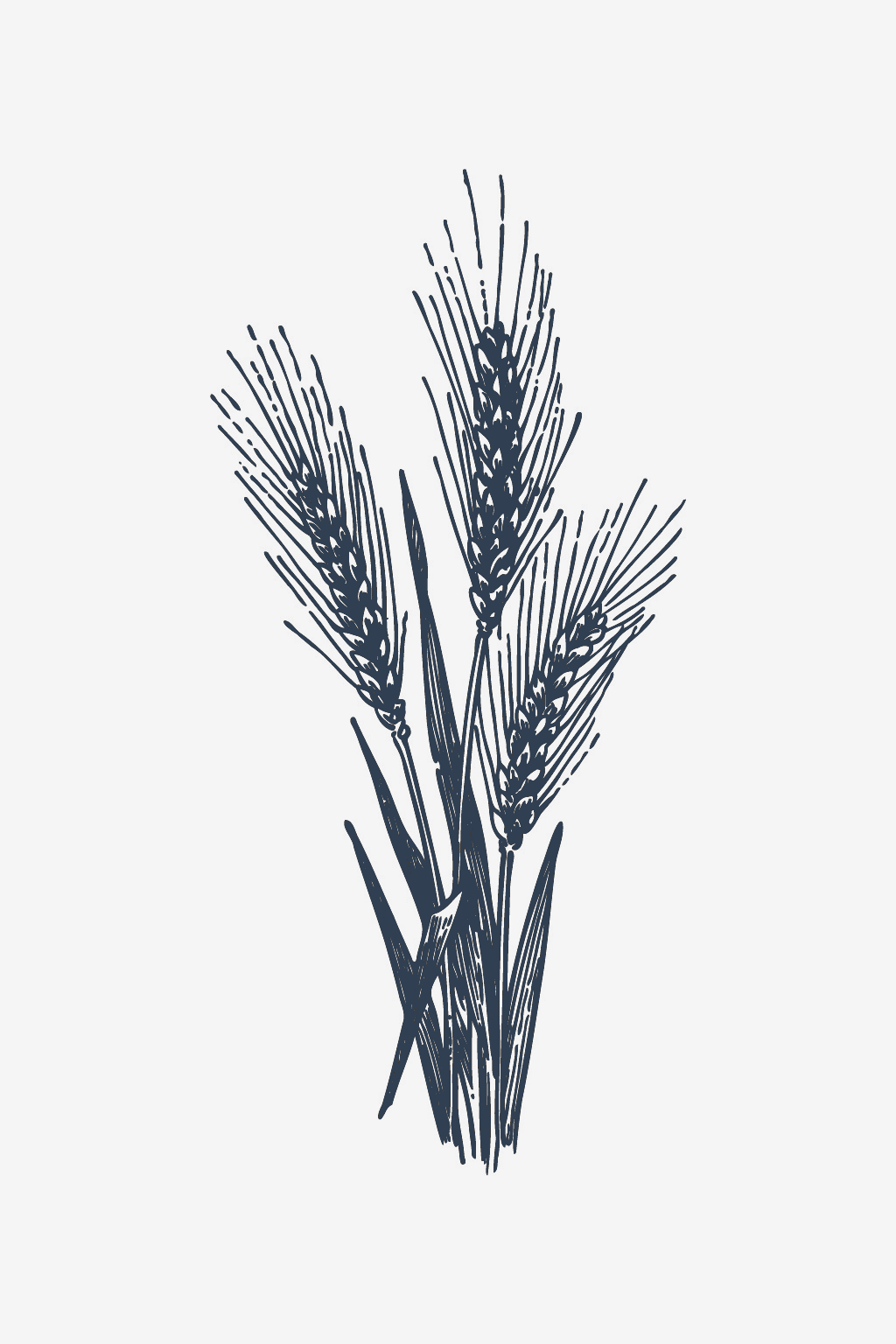 Μπαχάρι σίτου