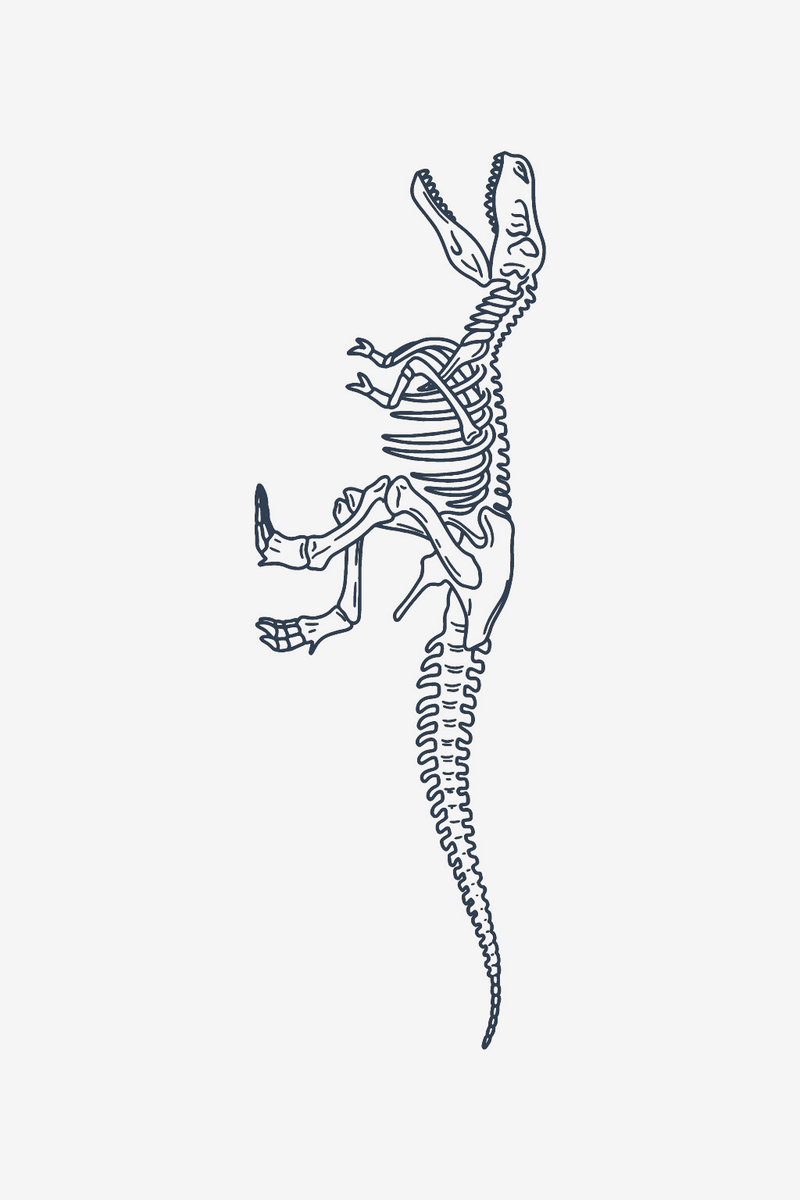 Σκελετός T-Rex