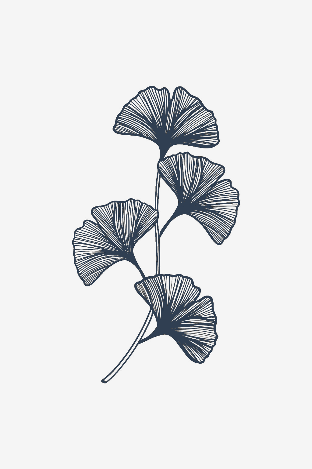 Ο θαυμαστής της ζωής