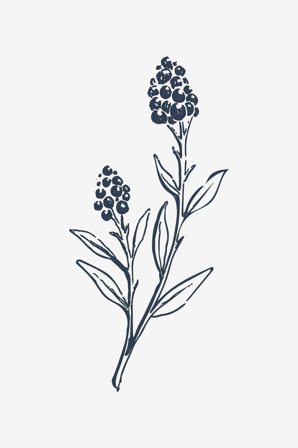 Άγρια Λουλούδια